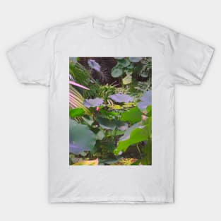 Botanical Study T-Shirt